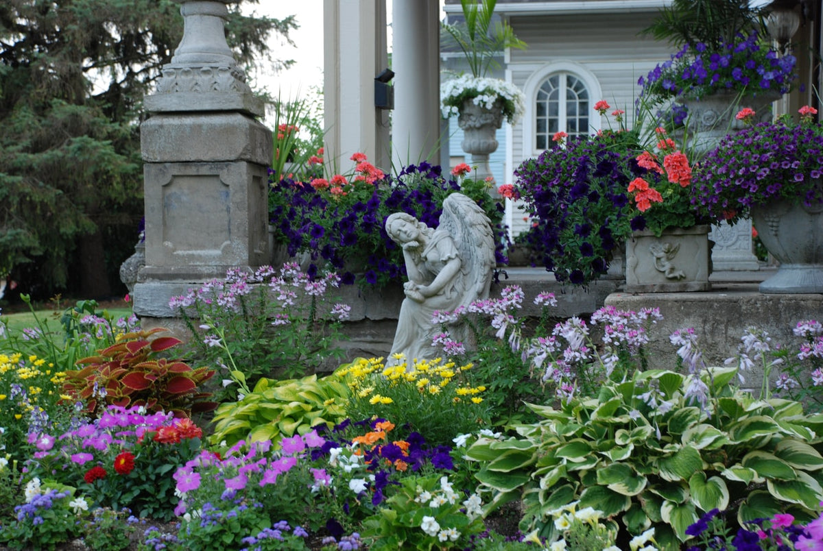 Home & Garden